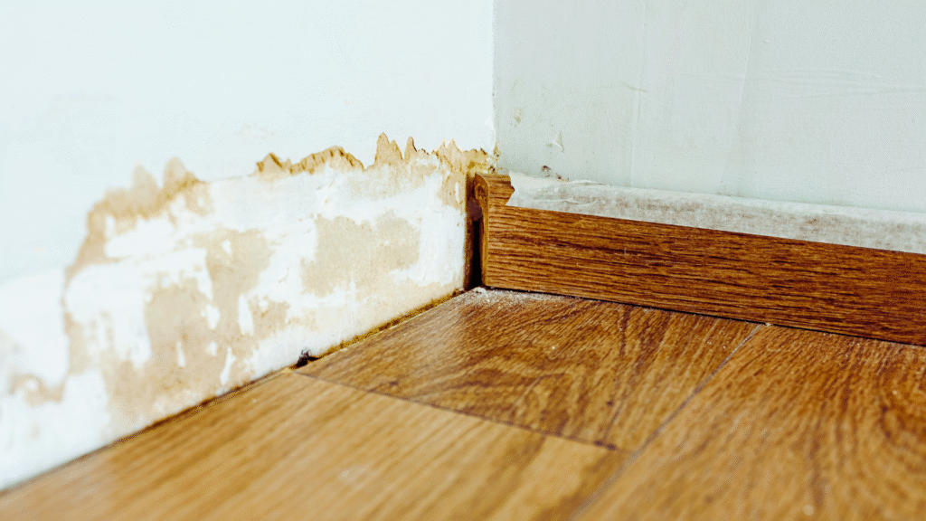 How to Prevent Damp and Mould in Older Homes: Essential Tips for Effective Maintenance