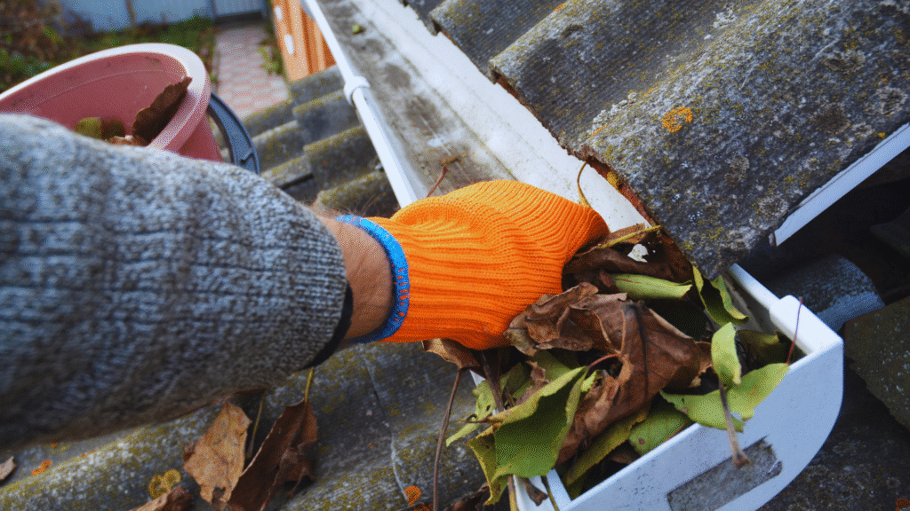 The Benefits of Regular Gutter Cleaning for Home Maintenance and Longevity